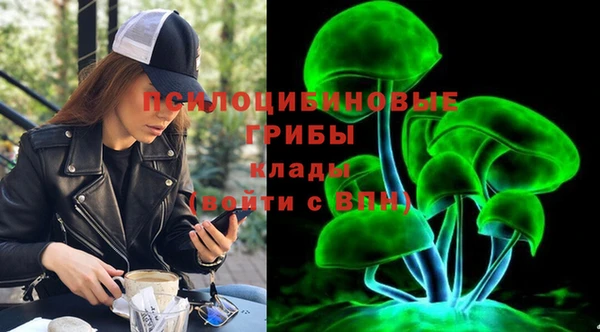mdpv Армянск