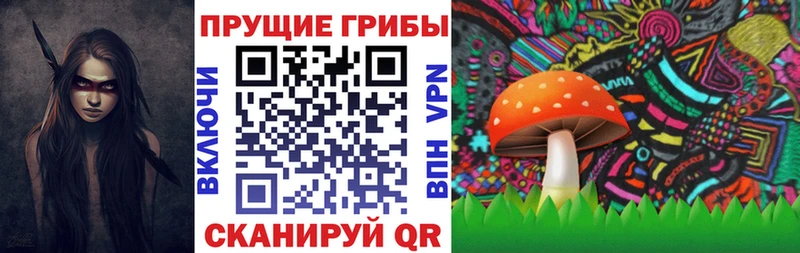 Псилоцибиновые грибы Psilocybe  Тарко-Сале 